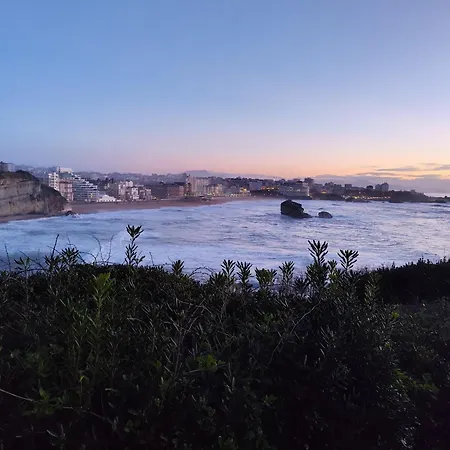 La Colline Bleue Appartamento *